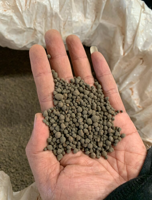 Fish Meal